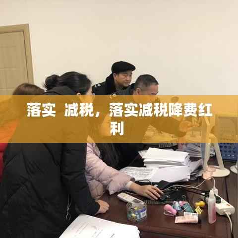 落实  减税,落实减税降费红利