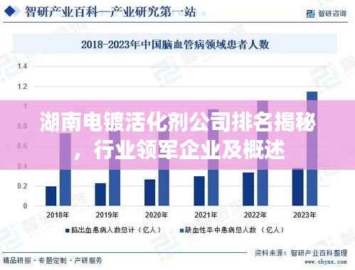 湖南电镀活化剂公司排名揭秘，行业领军企业及概述