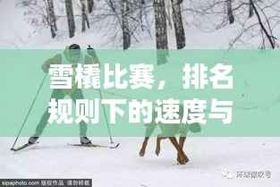 雪橇比赛，排名规则下的速度与激情角逐