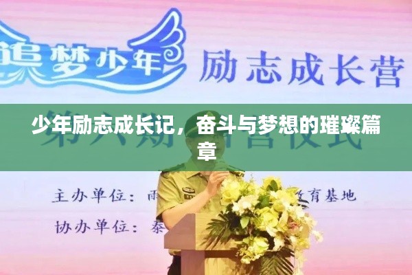 少年励志成长记，奋斗与梦想的璀璨篇章