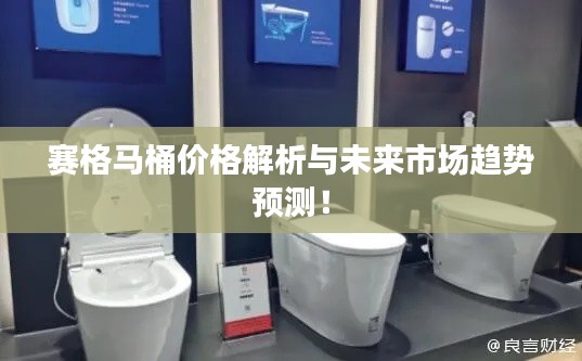 赛格马桶价格解析与未来市场趋势预测!