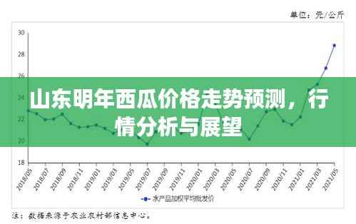 山东明年西瓜价格走势预测,行情分析与展望