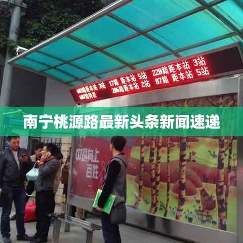 新闻中心 第71页