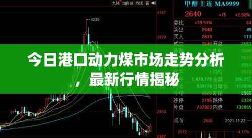 今日港口动力煤市场走势分析,最新行情揭秘