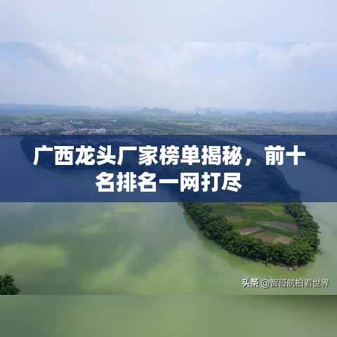 广西龙头厂家榜单揭秘,前十名排名一网打尽