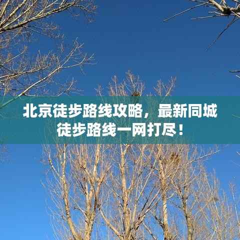 北京徒步路线攻略，最新同城徒步路线一网打尽！