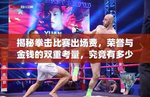 揭秘拳击比赛出场费,荣誉与金钱的双重考量,究竟有多少?